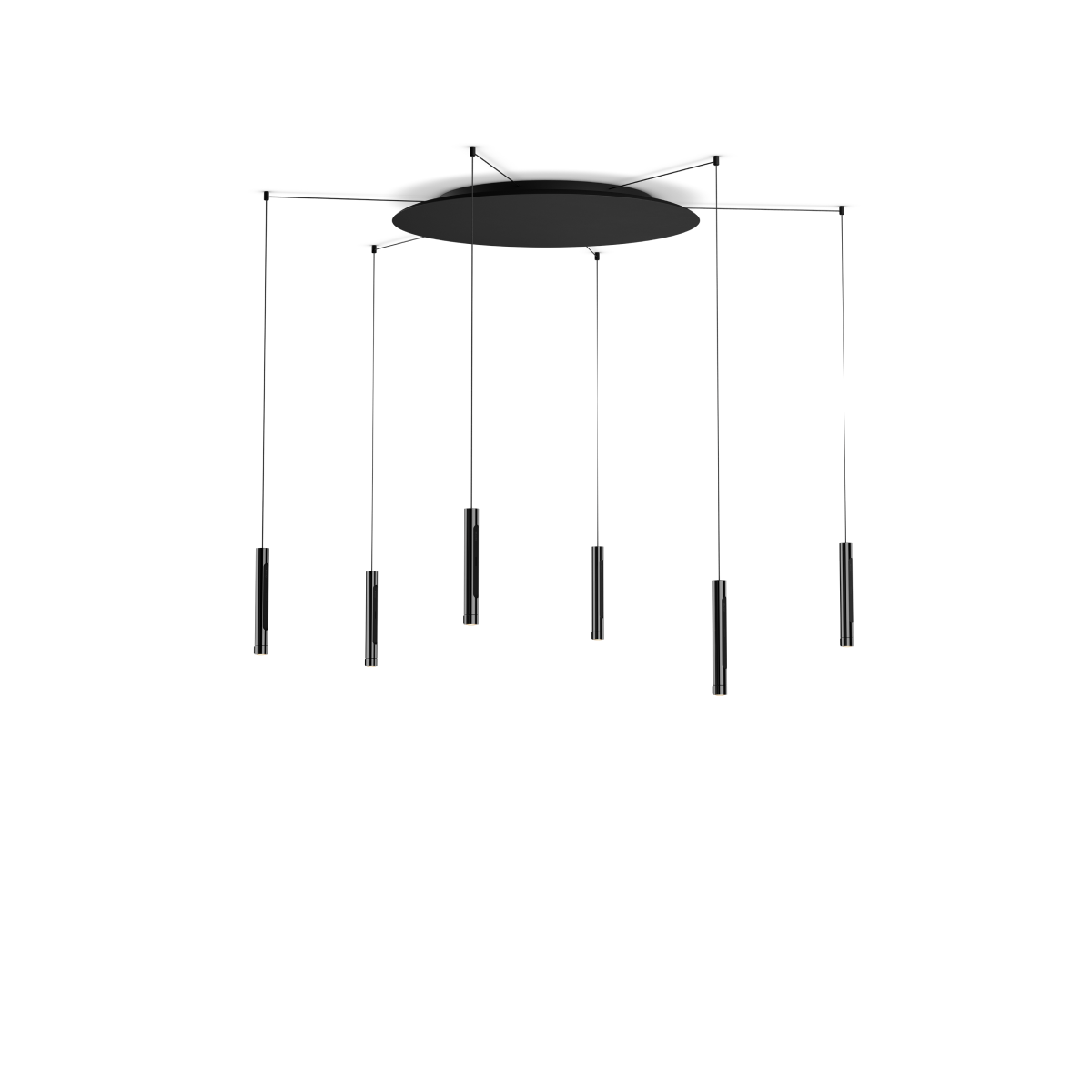 Coro spider 6