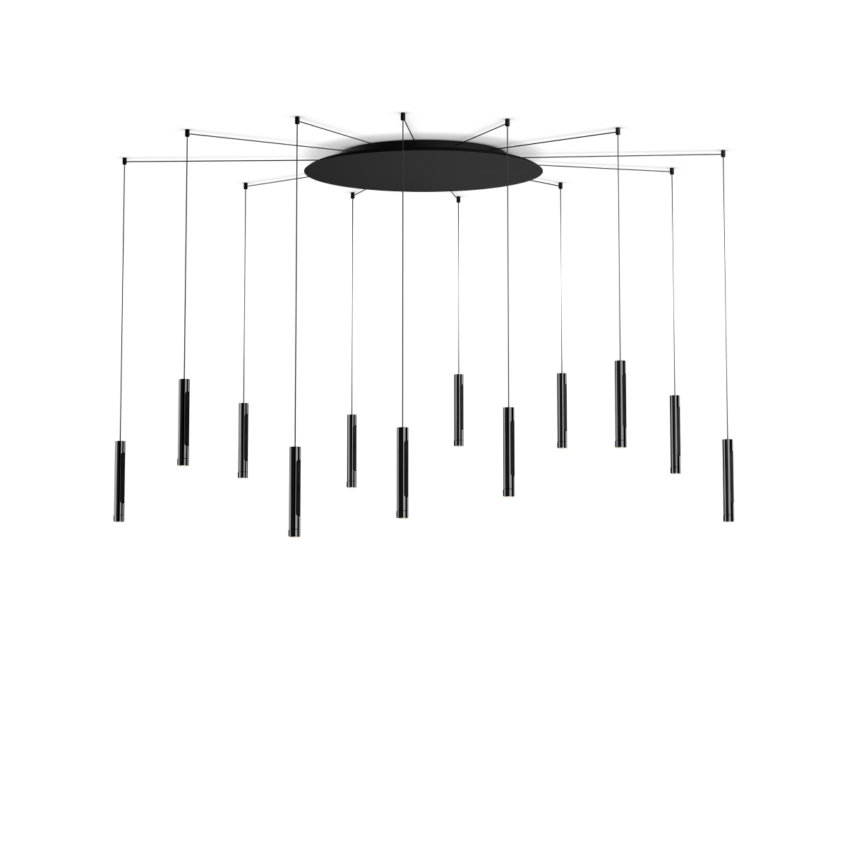 Coro spider 12