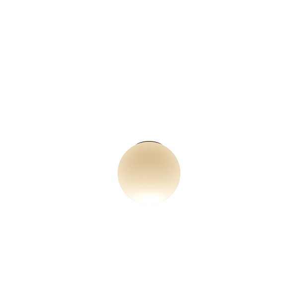 Coro moon zero