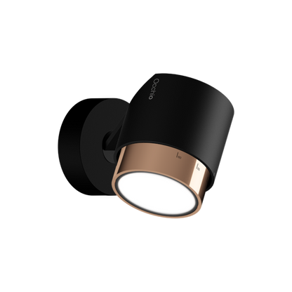 lui pico wall