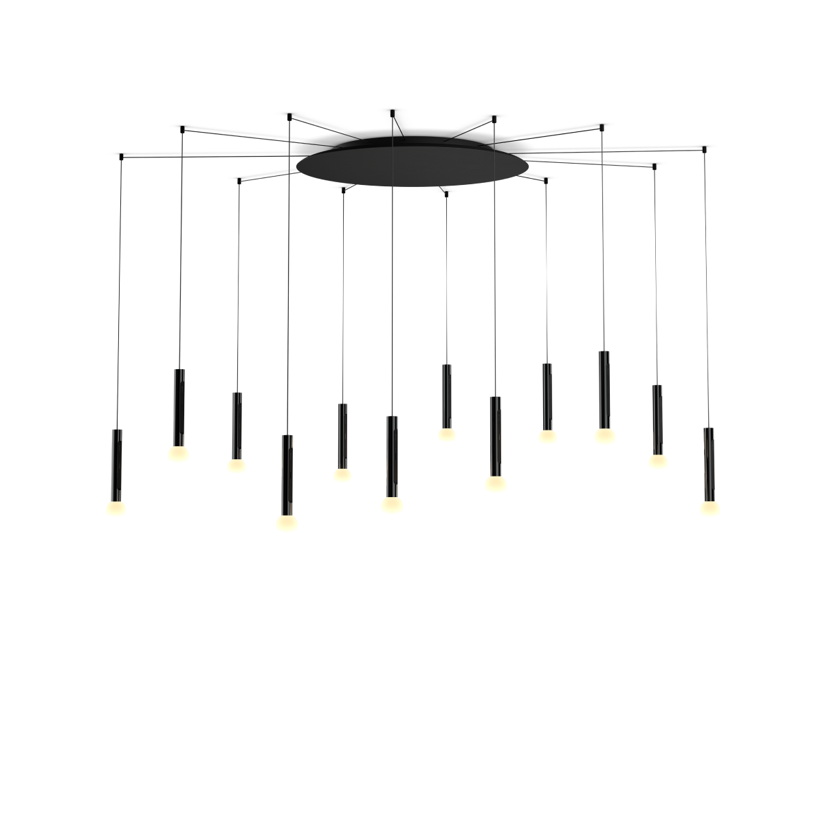 Coro moon spider 12