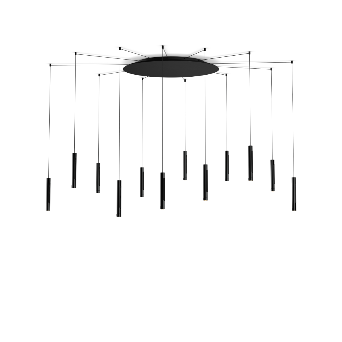 Coro spider 12
