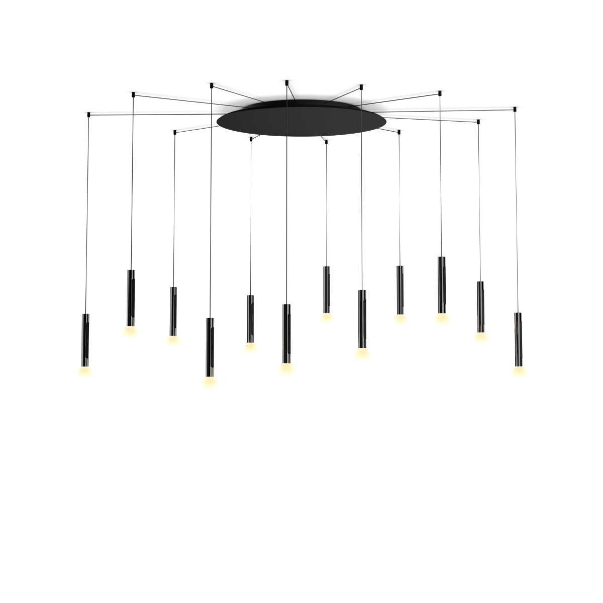 Coro moon spider 12