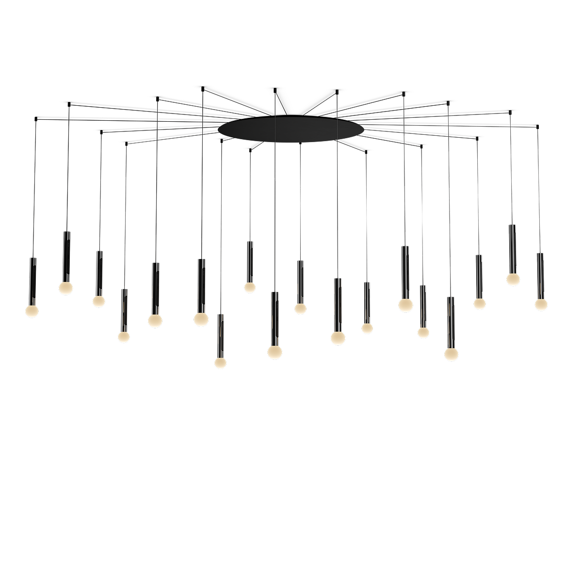 Coro moon spider 18
