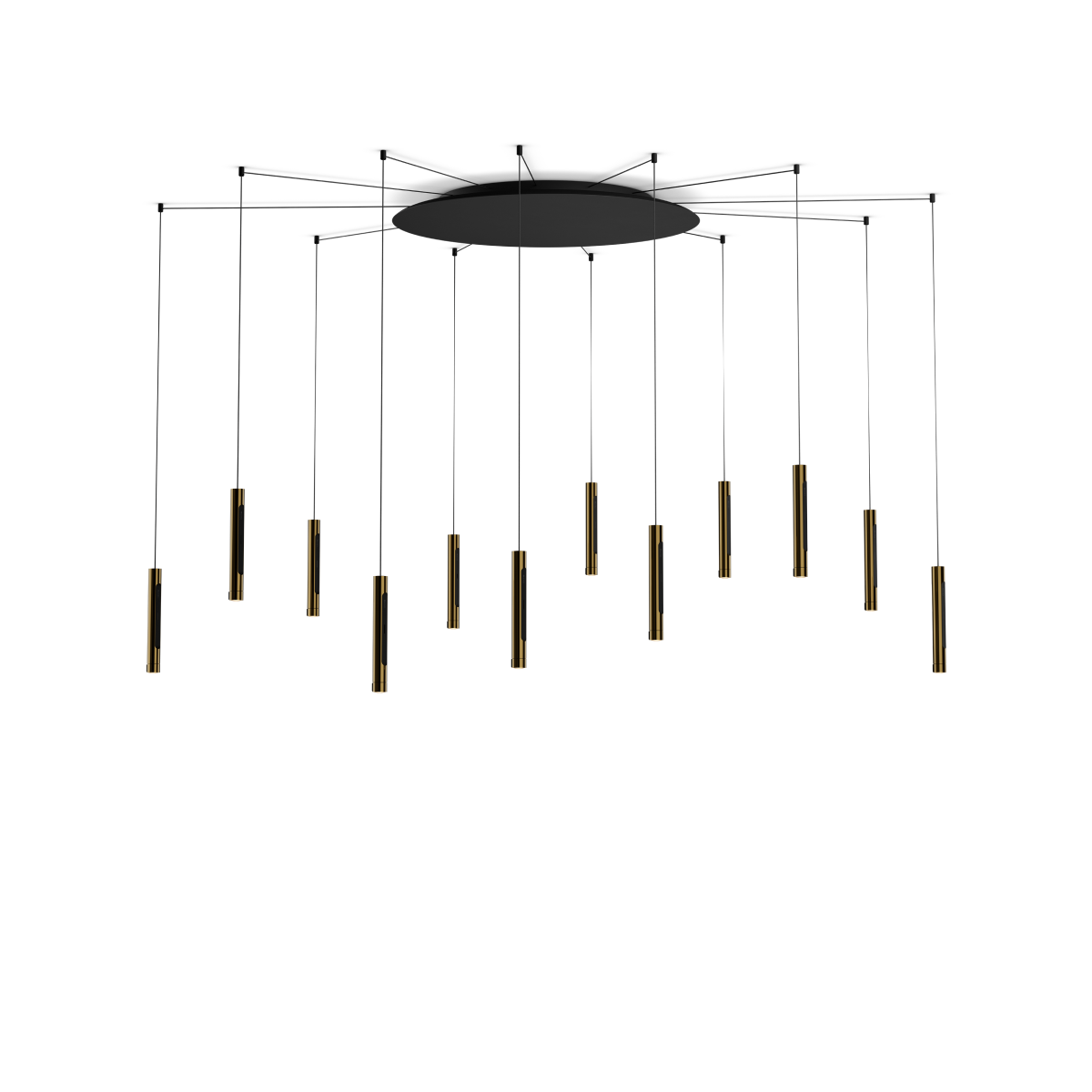 Coro spider 12