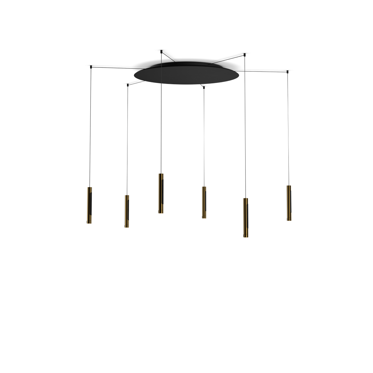 Coro spider 6