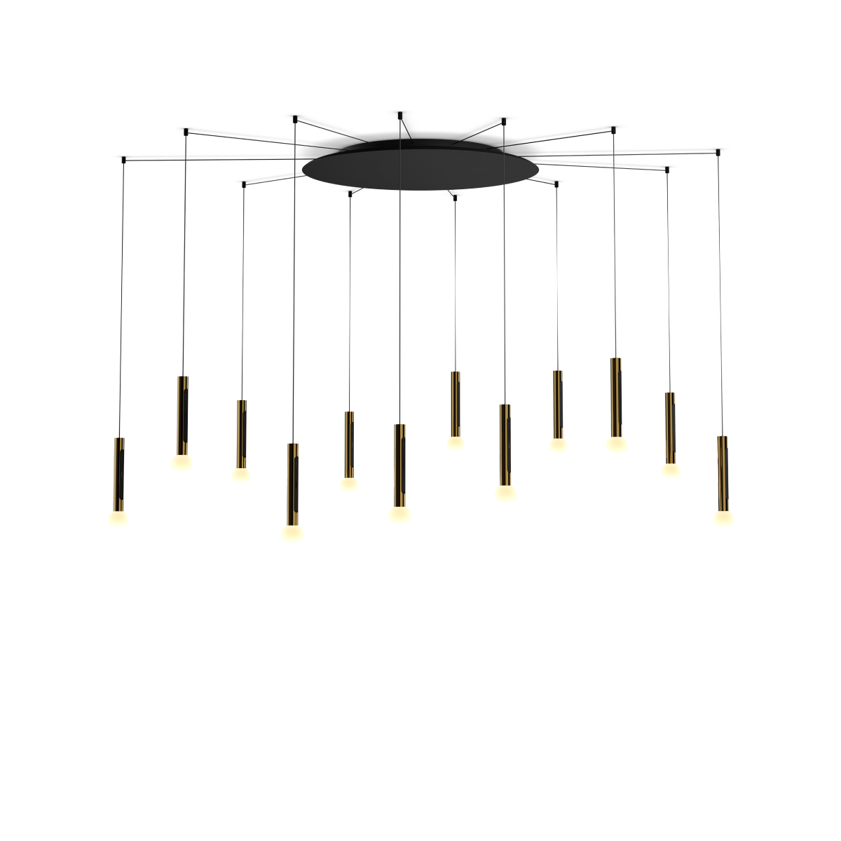 Coro moon spider 12
