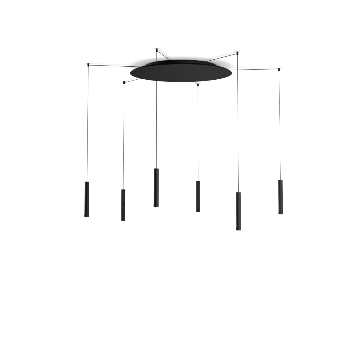 Coro spider 6