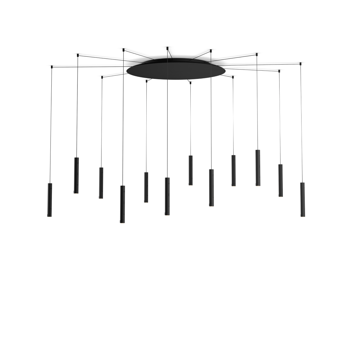 Coro spider 12