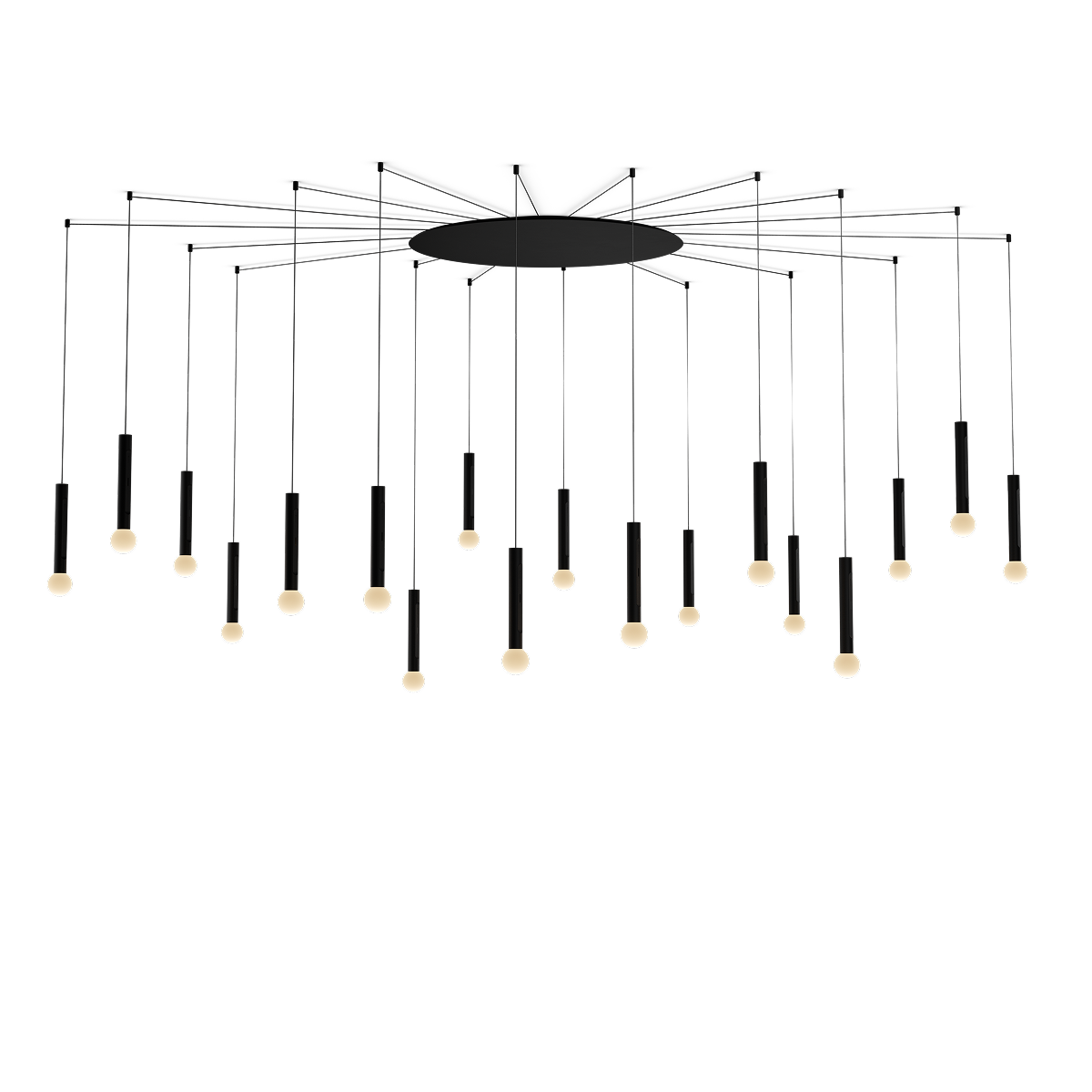 Coro moon spider 18