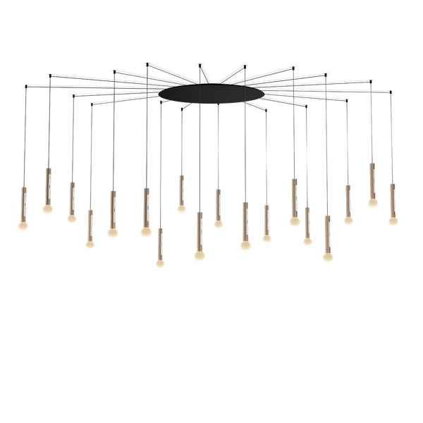 Coro moon spider 18