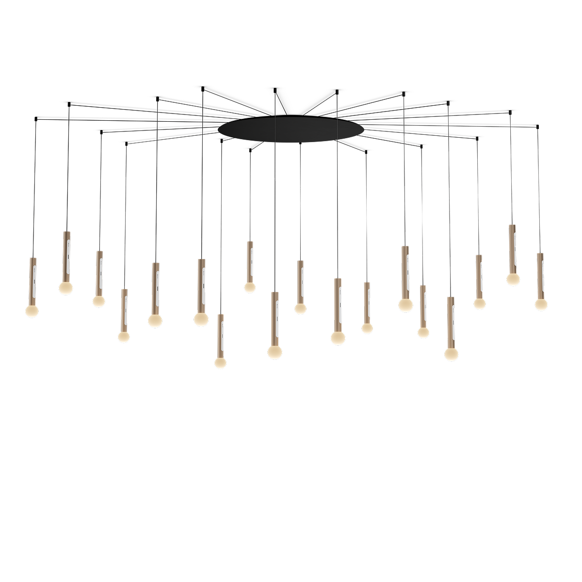 Coro moon spider 18