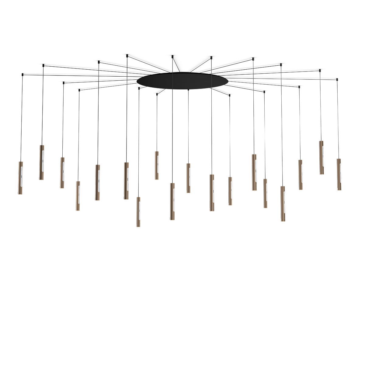 Coro spider 18