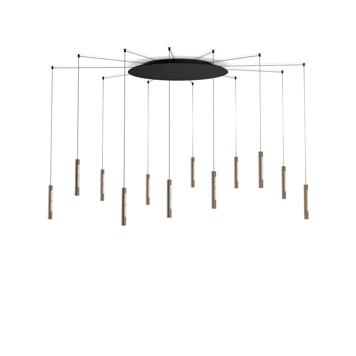 Coro spider 12