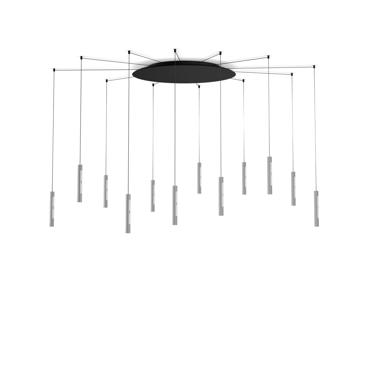Coro spider 12