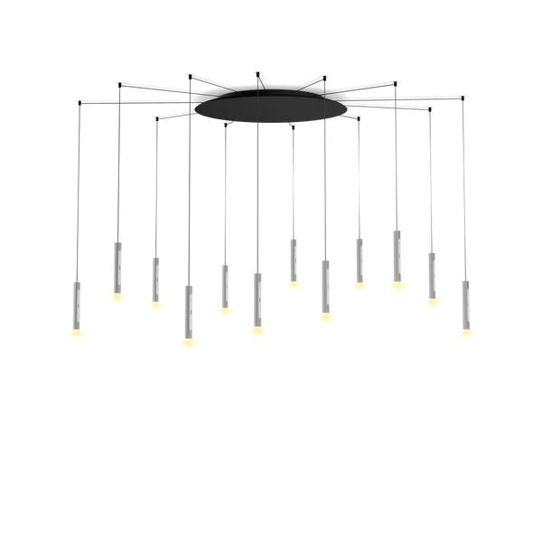Coro moon spider 12