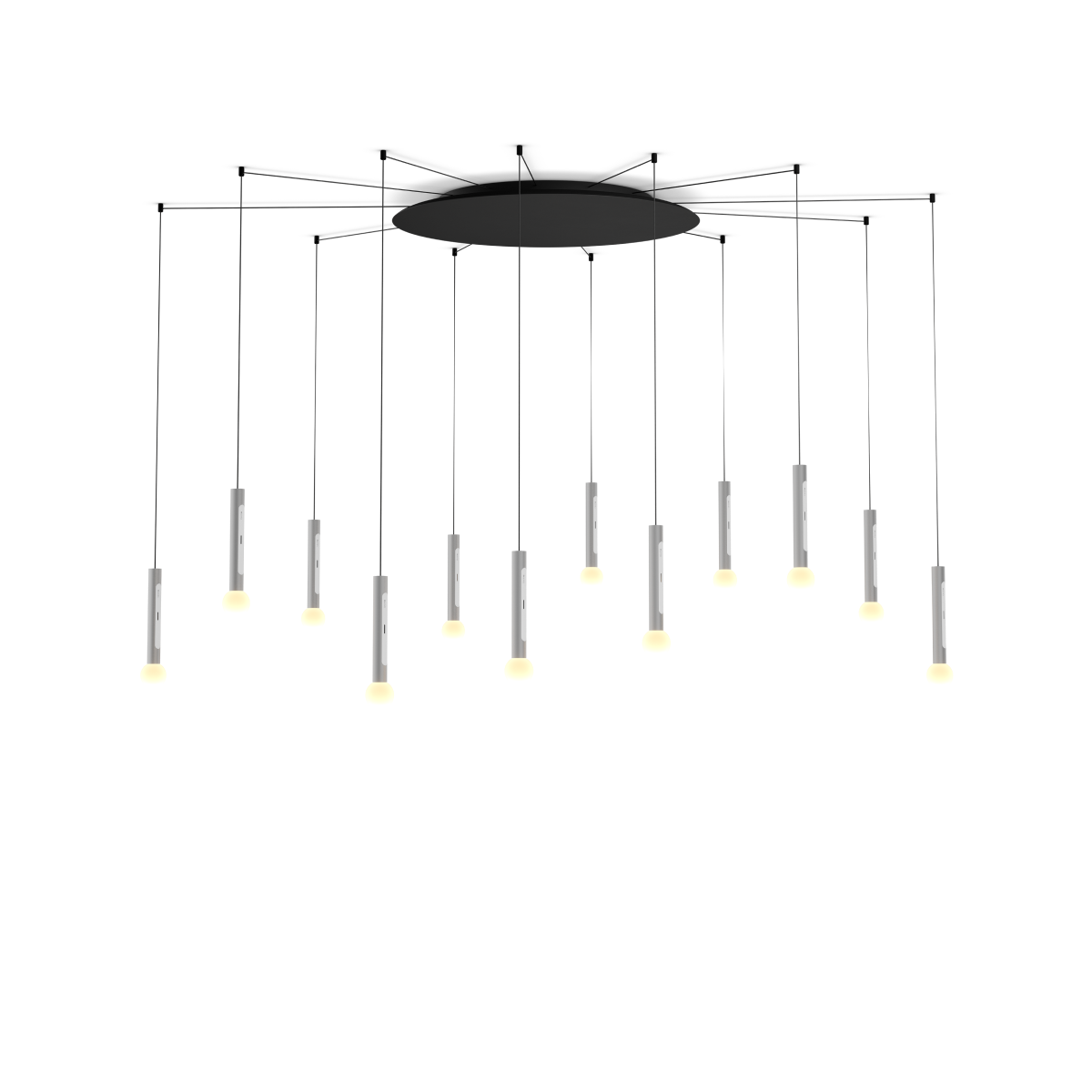 Coro moon spider 12