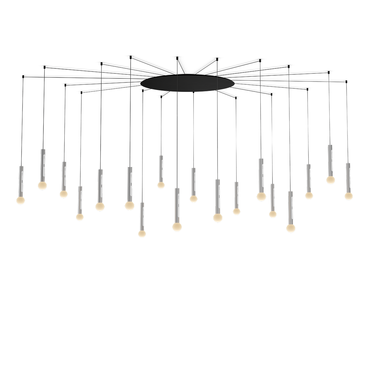 Coro moon spider 18