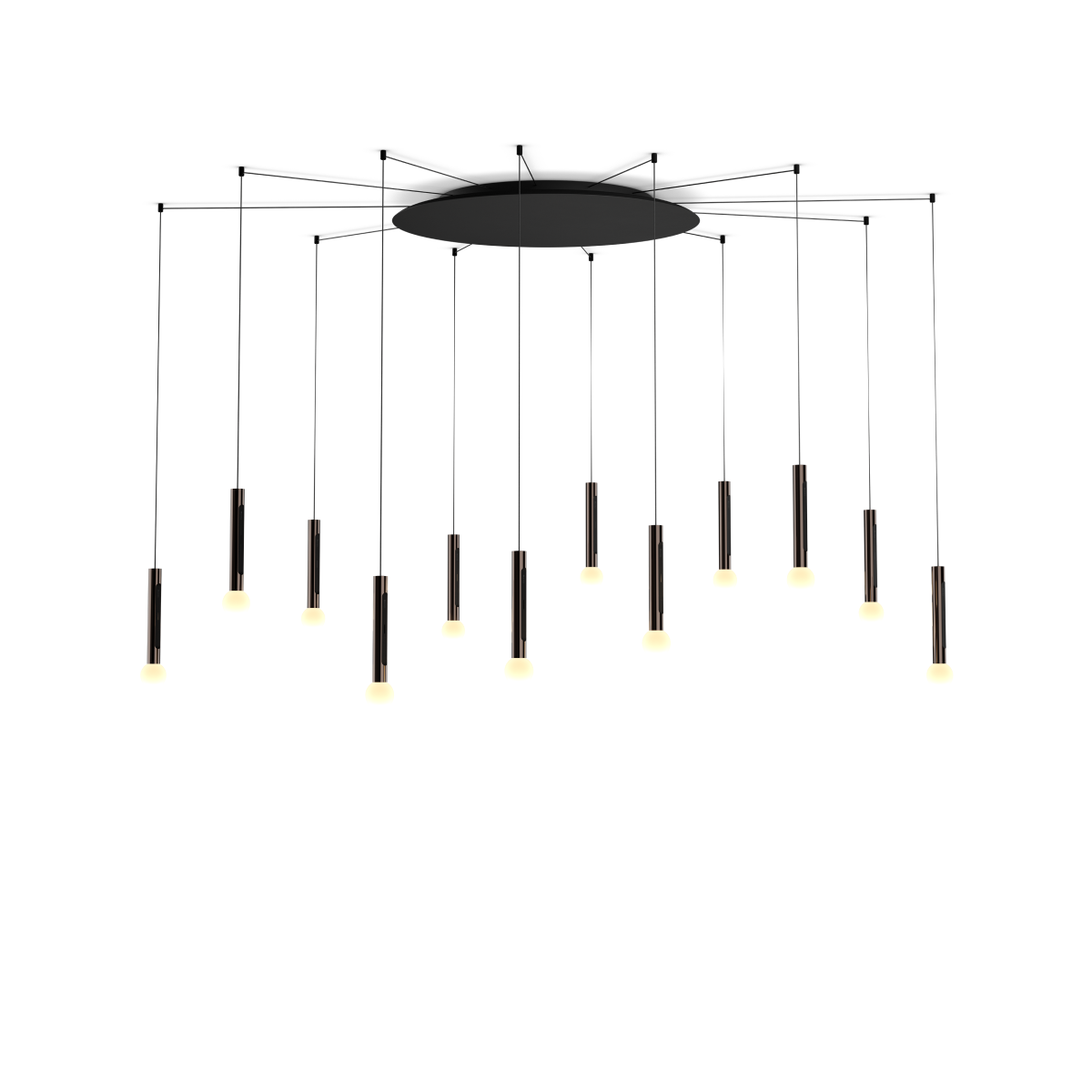 Coro moon spider 12