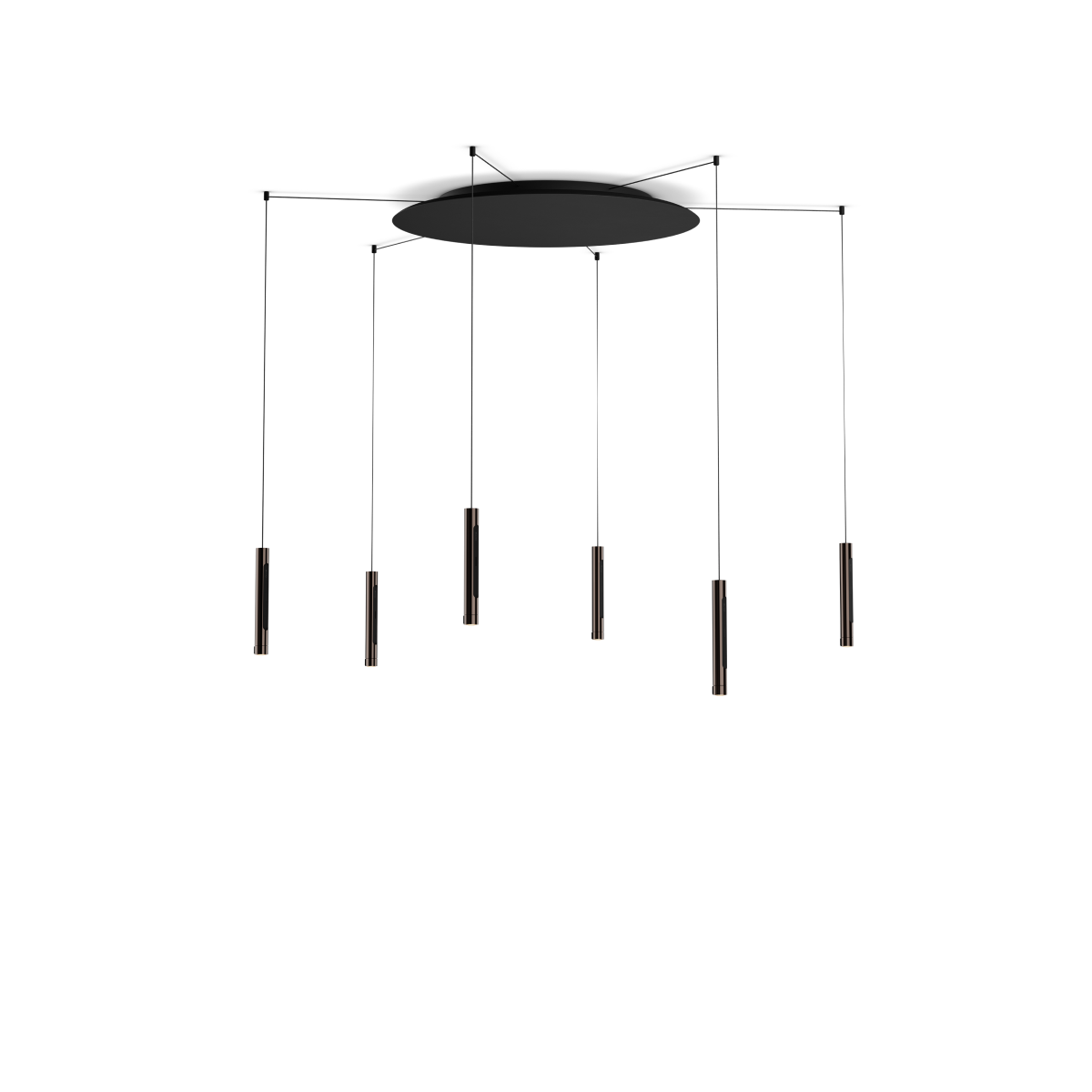 Coro spider 6