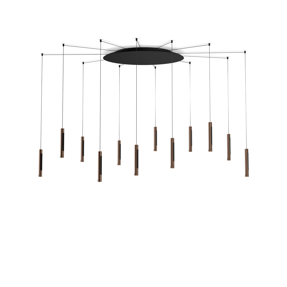Coro spider 12