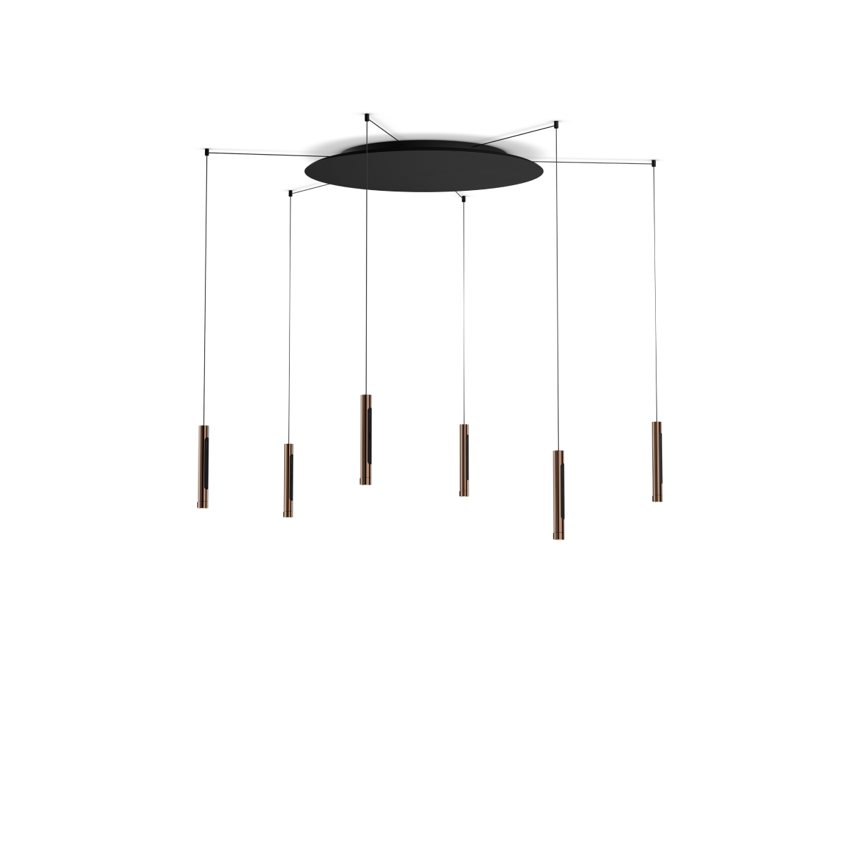 Coro spider 6
