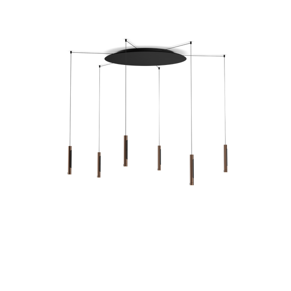 Coro spider 6