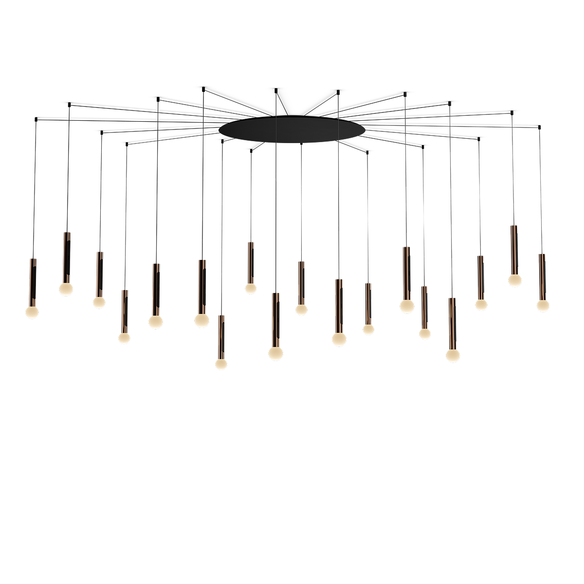 Coro moon spider 18