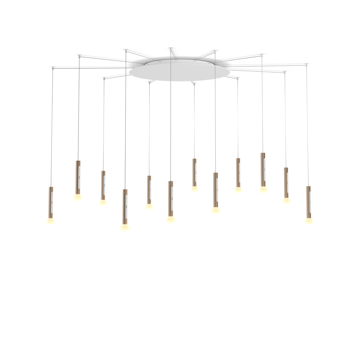 Coro moon spider 12