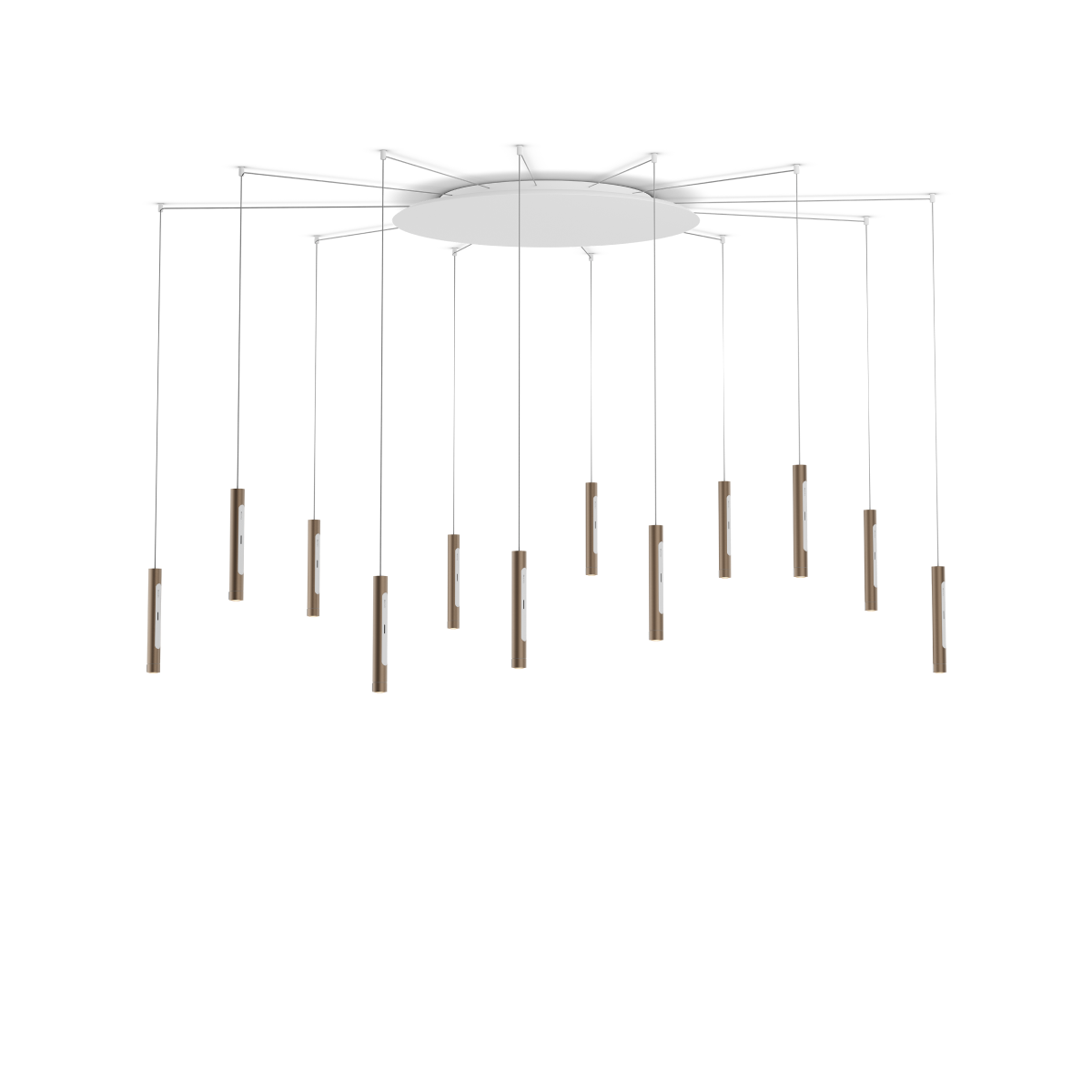 Coro spider 12