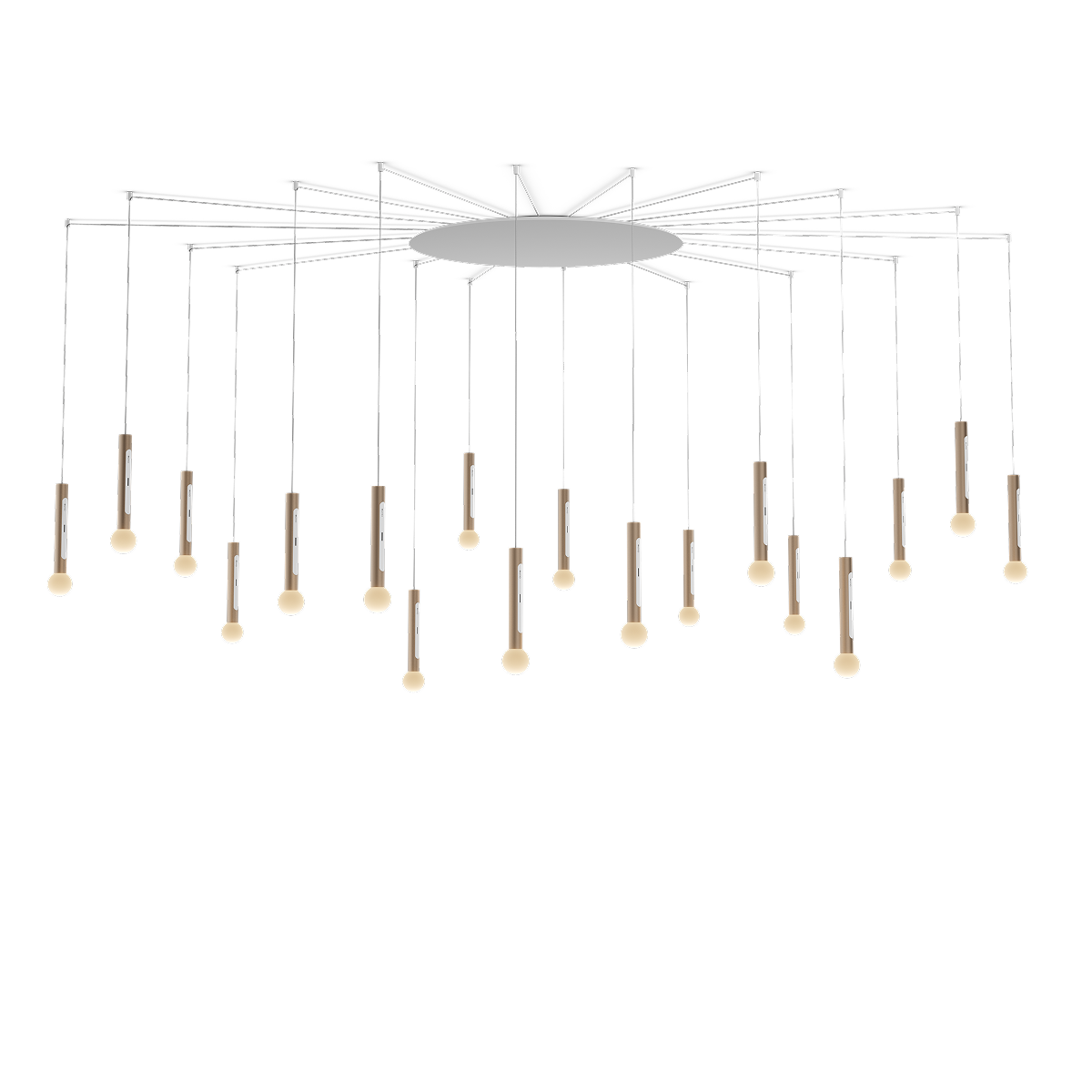 Coro moon spider 18