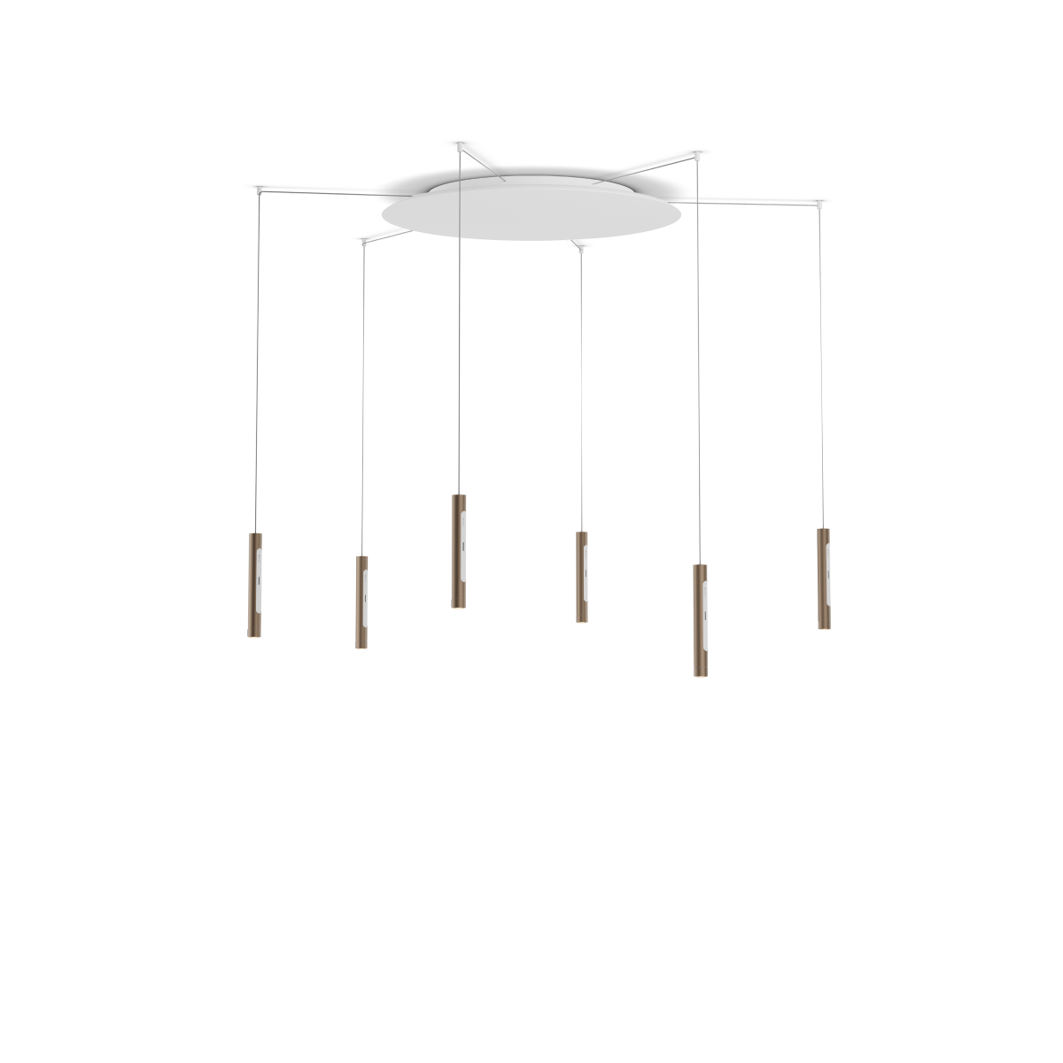 Coro spider 6