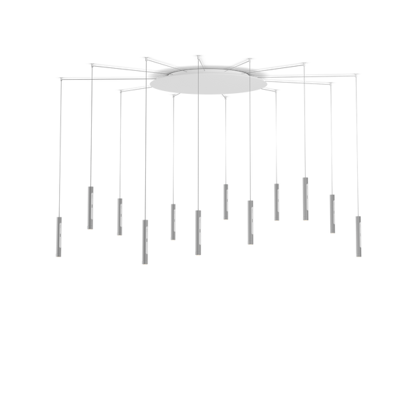 Coro spider 12