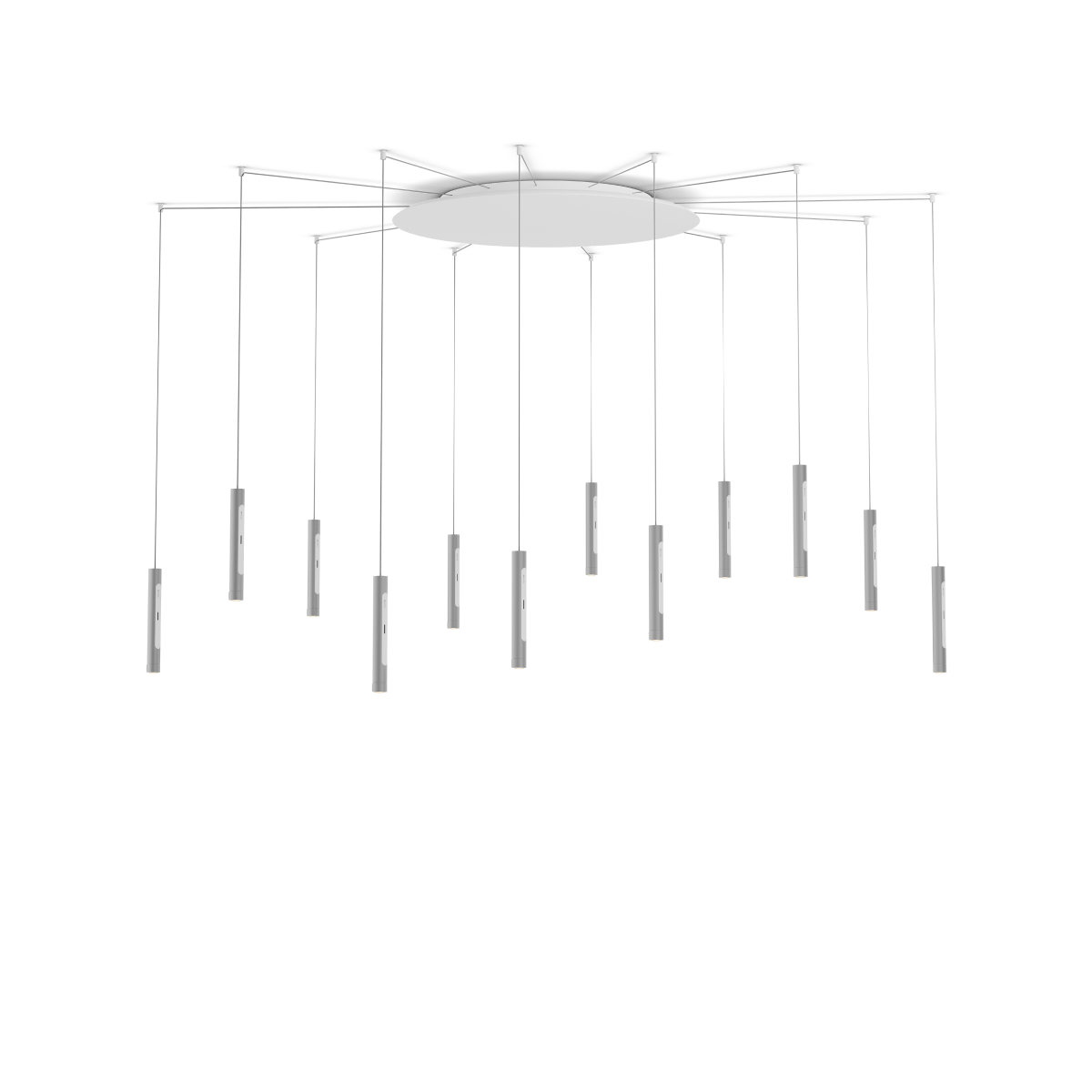 Coro spider 12