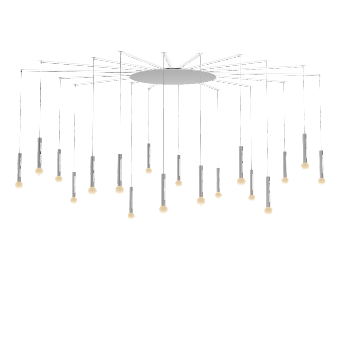 Coro moon spider 18