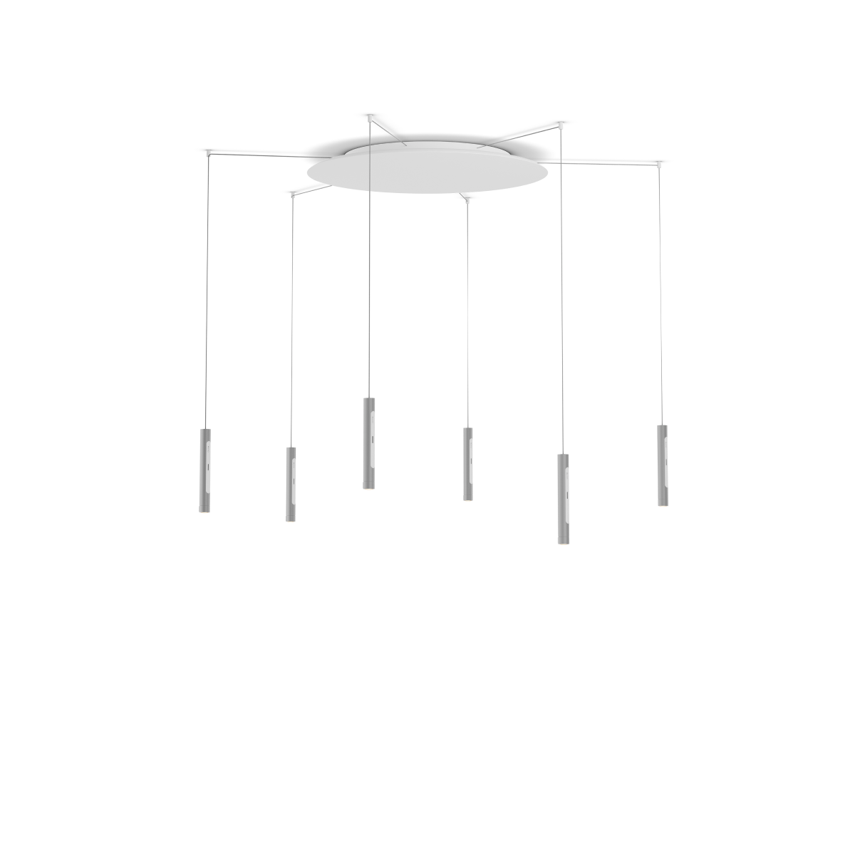 Coro spider 6