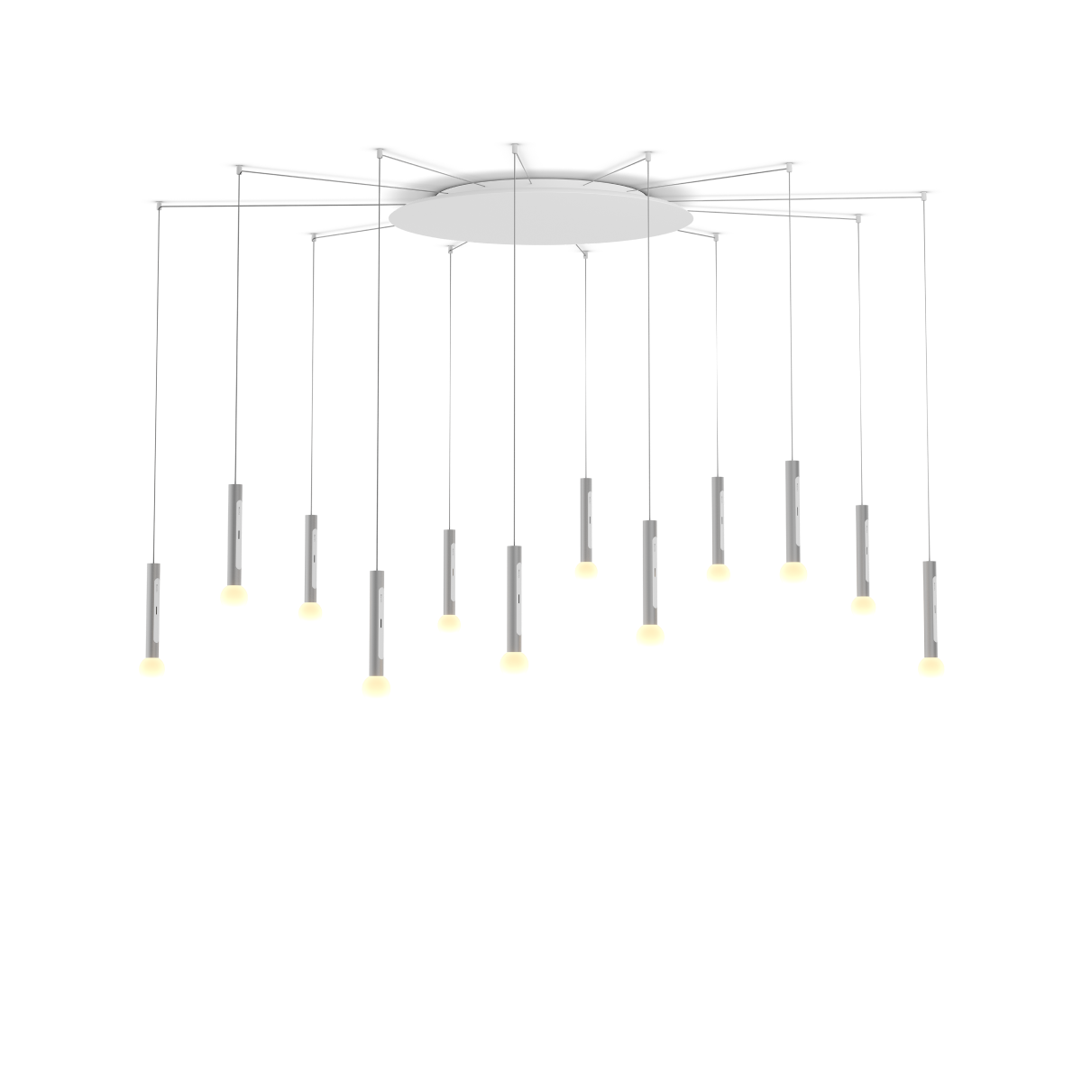 Coro moon spider 12