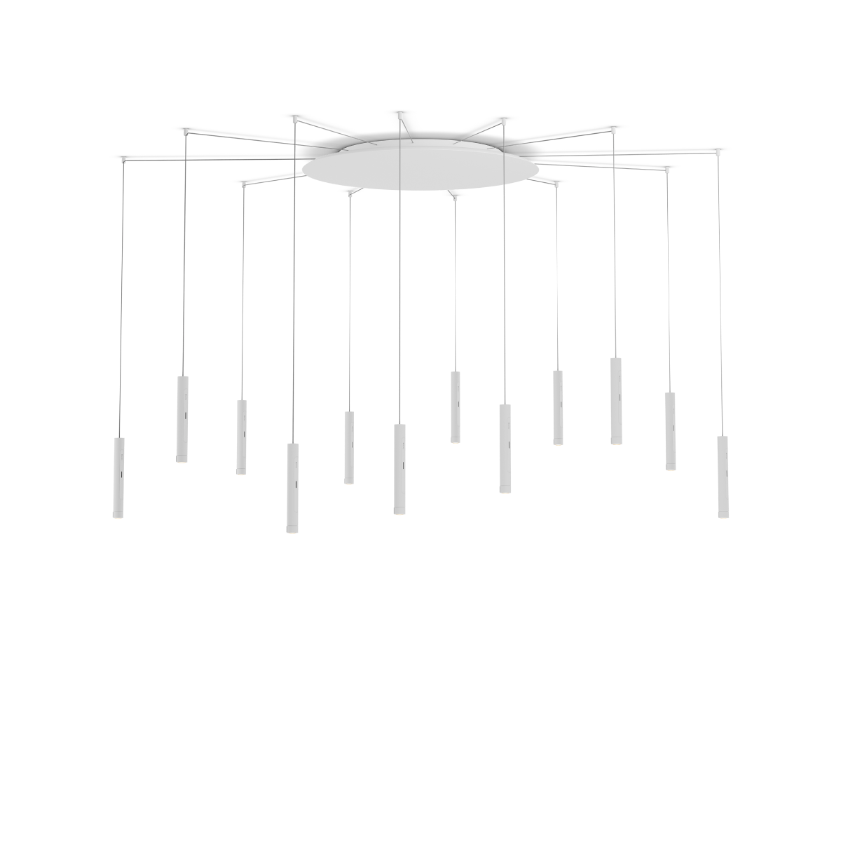 Coro spider 12