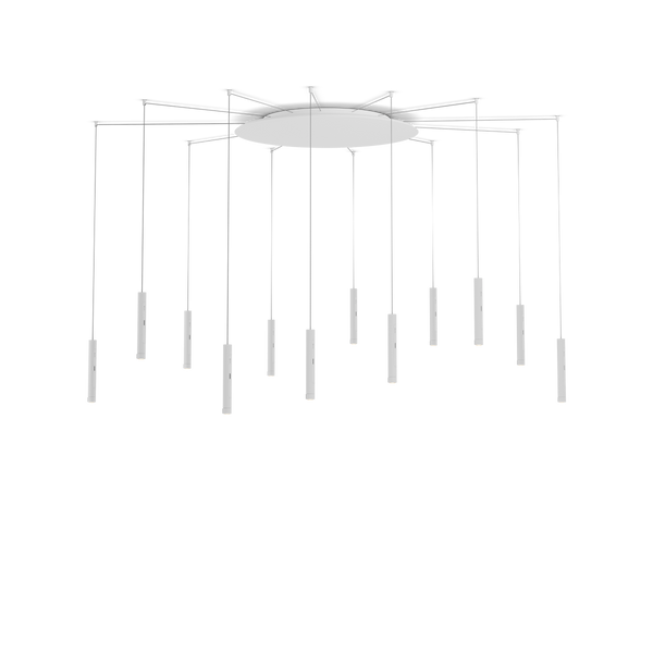 Coro spider 12