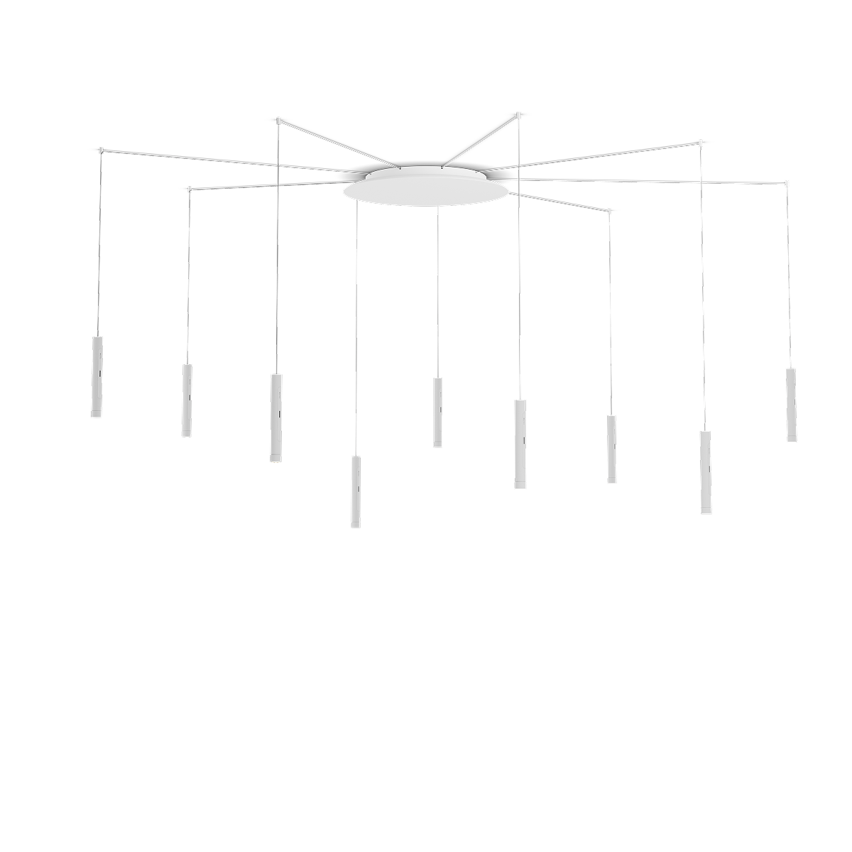 Coro spider 9