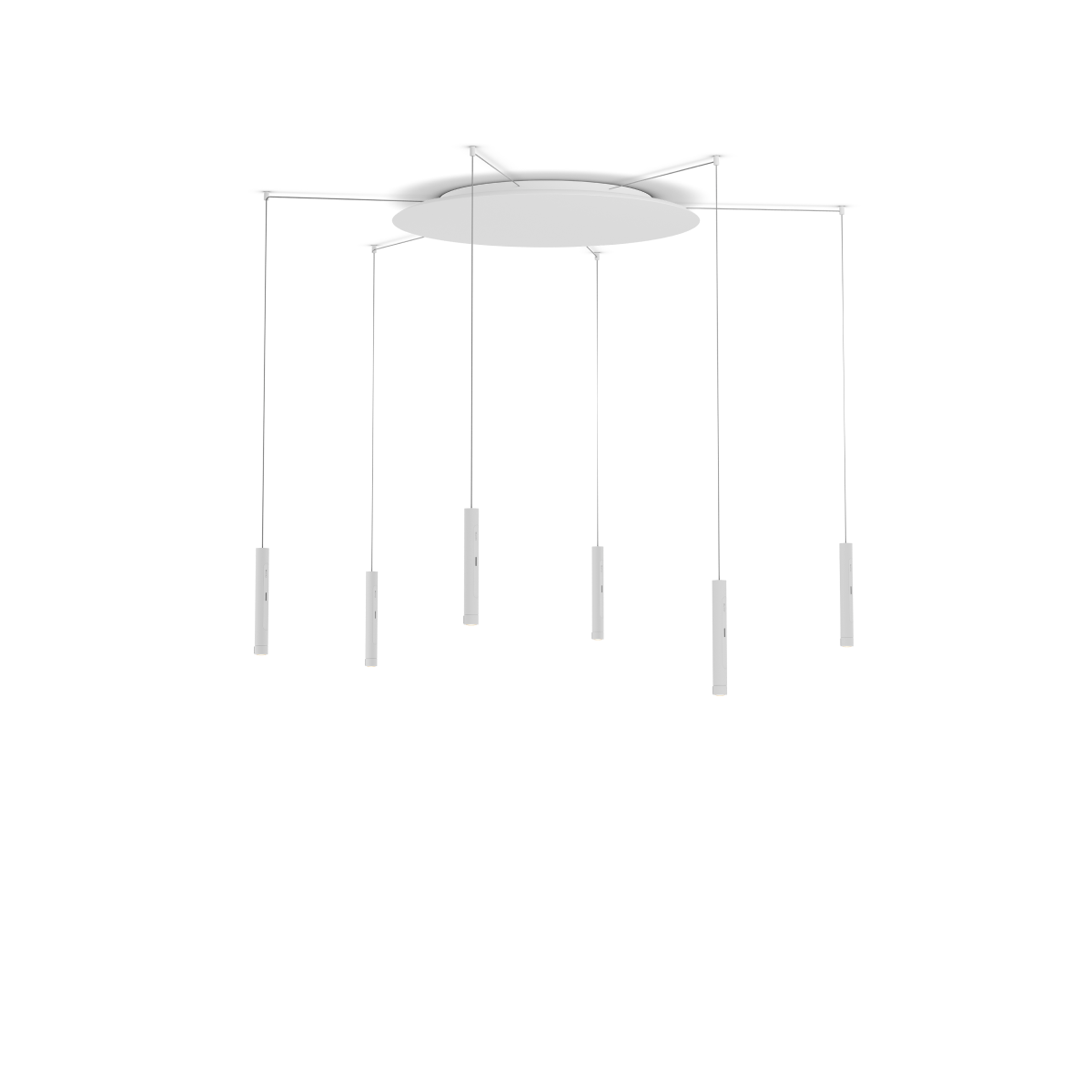 Coro spider 6