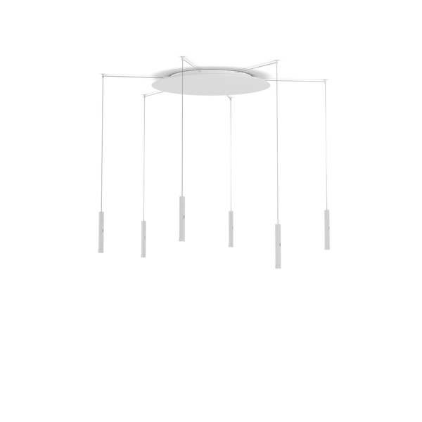 Coro spider 6