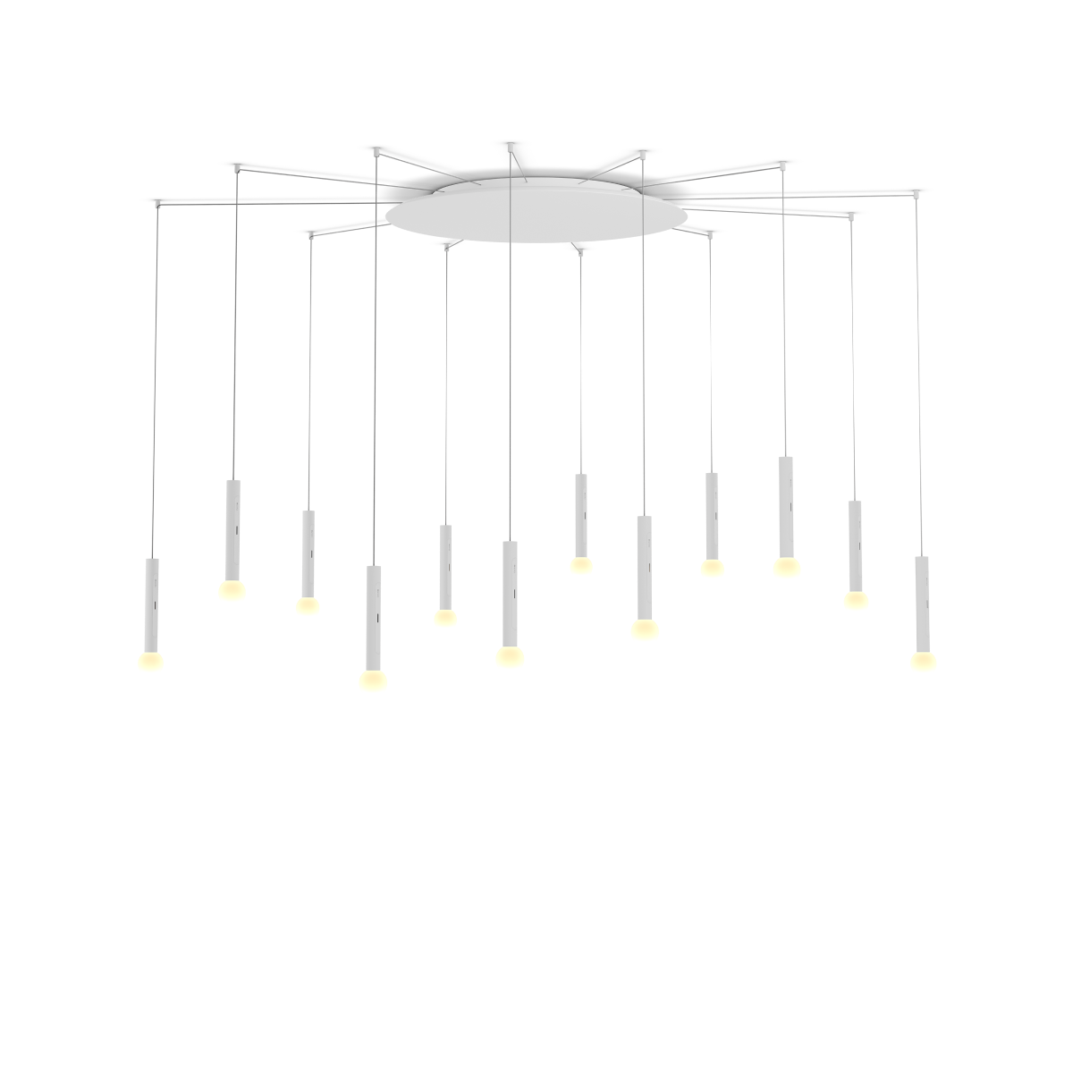 Coro moon spider 12