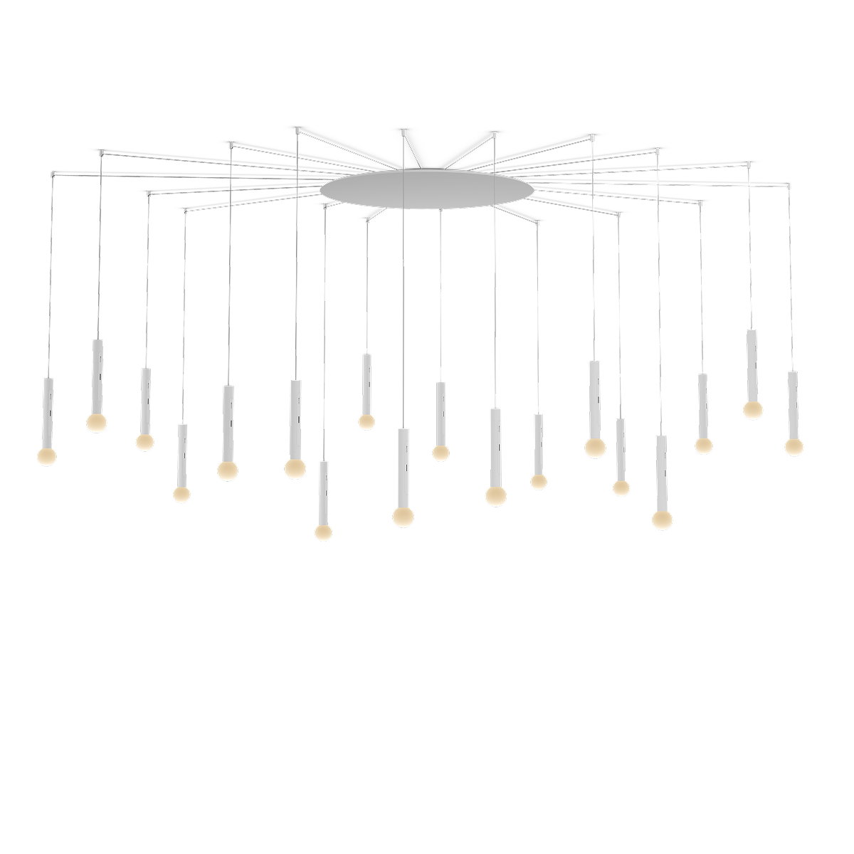 Coro moon spider 18
